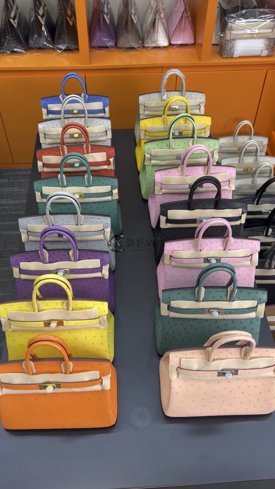 Fully Handcrafted Hermes Birkin 25 Ostrich Leather Palladium Hardware