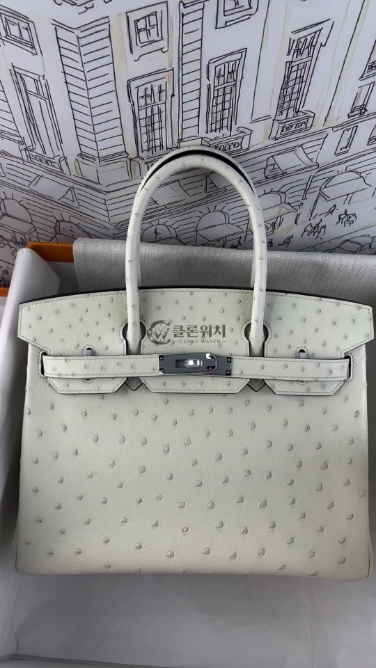 Fully Handcrafted Hermes Birkin 30 Ostrich Leather Palladium Hardware