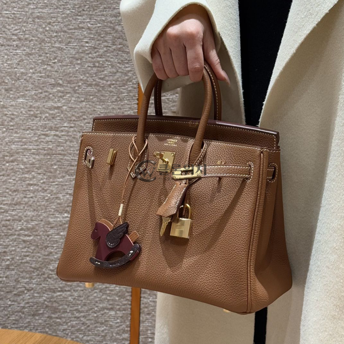 Top-Quality Hermès Birkin 25 in Gold Togo Leather with Gold Hardware